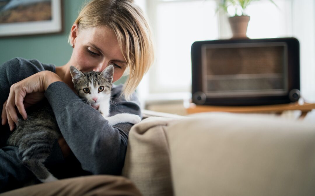 Mastering Your Cat’s Anxiety in 5 Simple Steps